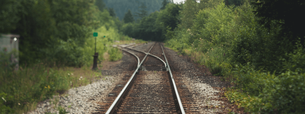 Bahnschienen in 2 Richtungen im Wald